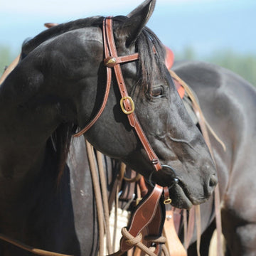 Parelli Snaffle Bridle